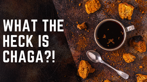 What the heck is Chaga?
